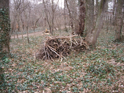 Kleintierstapel in der Felixdorfer Au - copyright www.auverein.at