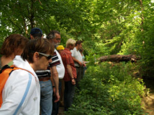 Aulehrgang in Felixdorf - Copyright www.Auverein.at