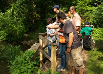 Biotop in Felixdorf - Copyright www.Auverein.at