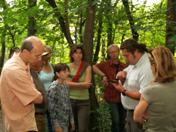Naturlehrgang in Felixdorf - Copyright www.Auverein.at