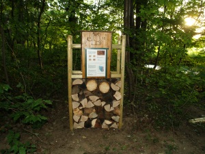 Musterholzschlichtung im Felixdorfer Wald - Copyright auverein.at Foto: RoMiFe