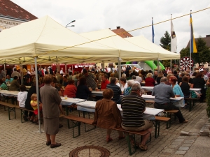Dorffest Felixdorf - Foto Michael Rousek