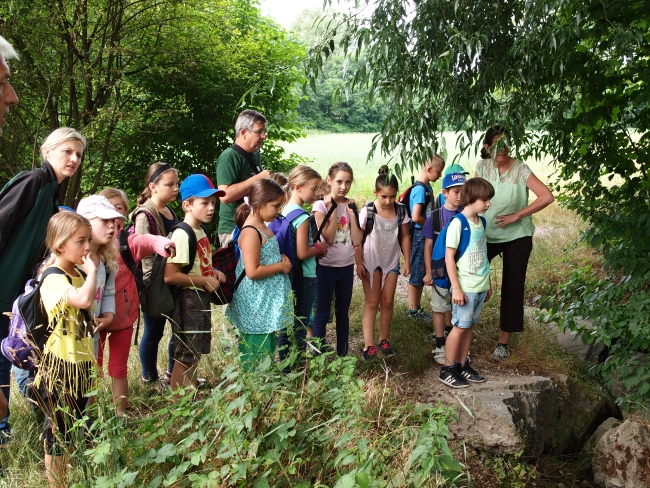 Schulausflug der Volksschule Felixdorf in den Auwald - Copyright auverein.at