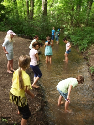 Schulausflug der Volksschule Felixdorf in den Auwald - Copyright auverein.at