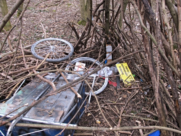 Frhjahresputz in der Felixdorfer Au Foto: Michael Rousek