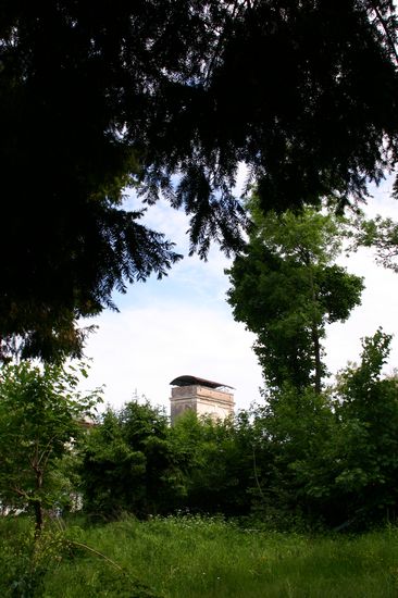 Bilder aus dem Felixdorfer Auwald