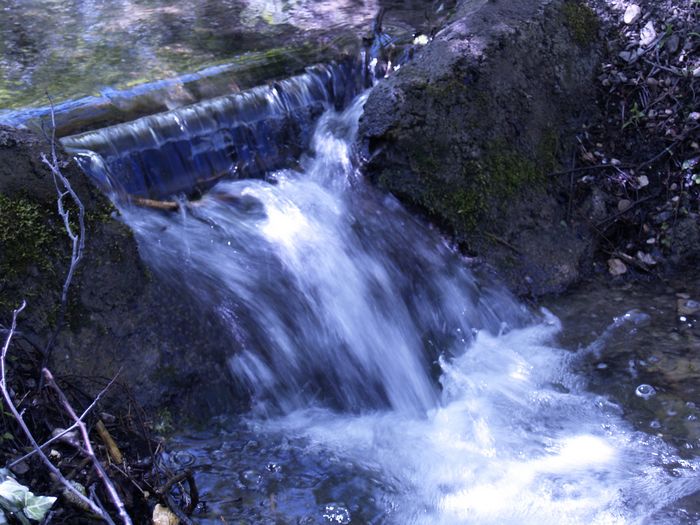 Bilder aus dem Felixdorfer Auwald.