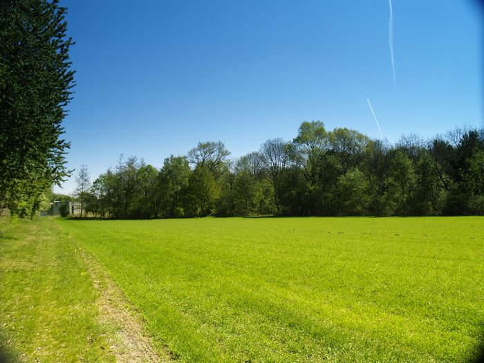 Bilder aus dem Felixdorfer Auwald.