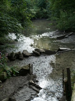 Biotop ist wasserlos - Copyright www.auverein.at