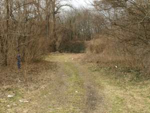 Mll in Felixdorf Copyright Auverein.at Foto: RoMiFe