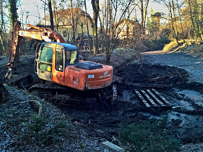 Biotopsanierung Felixdorf Auwald   Foto: Auverein.at