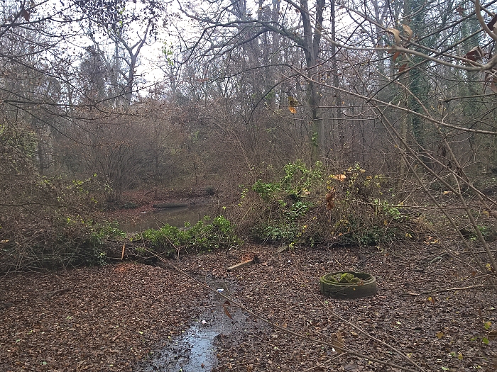 Biotopsanierung Felixdorf Auwald   Foto: Auverein.at