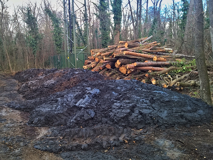 Biotopsanierung Felixdorf Auwald   Foto: Auverein.at